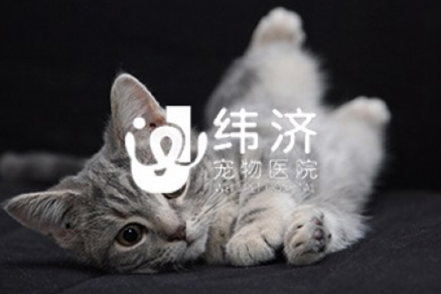 广州企业网站推广平台